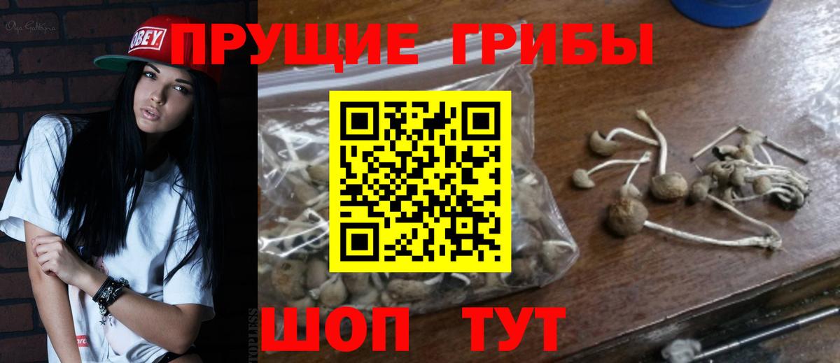 Псилоцибиновые грибы Psilocybe  Вход с VPN  Казань 