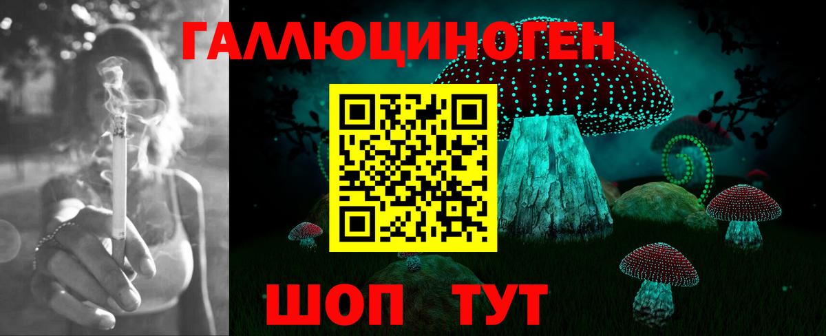 Галлюциногенные грибы MAGIC MUSHROOMS Казань